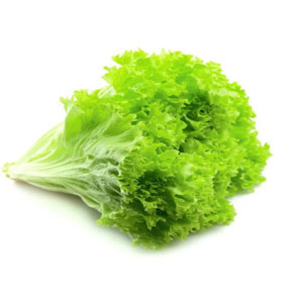 Lettuce-Leaves-600x600 Lettuce-Leaves-600x600