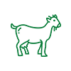 Kambing