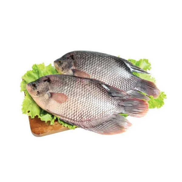 Ikan Gurame