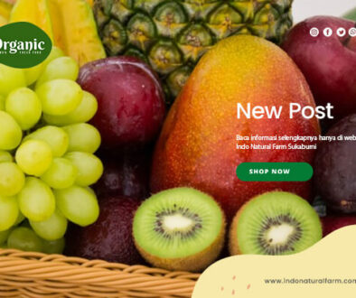 indo natural farm - artikel 2