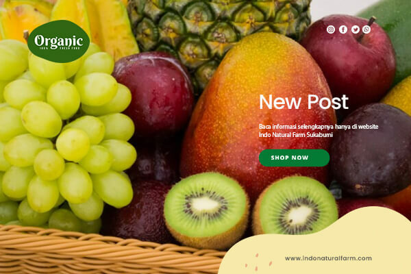 indo natural farm - artikel 2