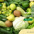 indo natural farm - artikel 3