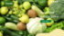 indo natural farm - artikel 3