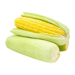 sweet corn sweet corn